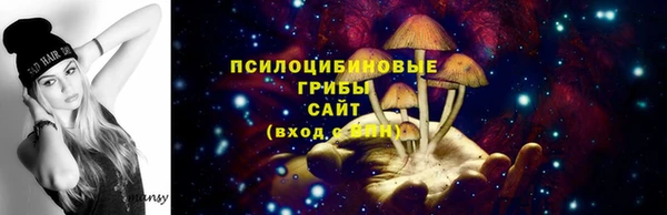 гидра Балахна
