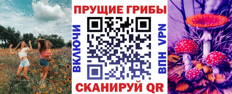 сколько стоит Мариинский Посад Галлюциногенные грибы ЛСД